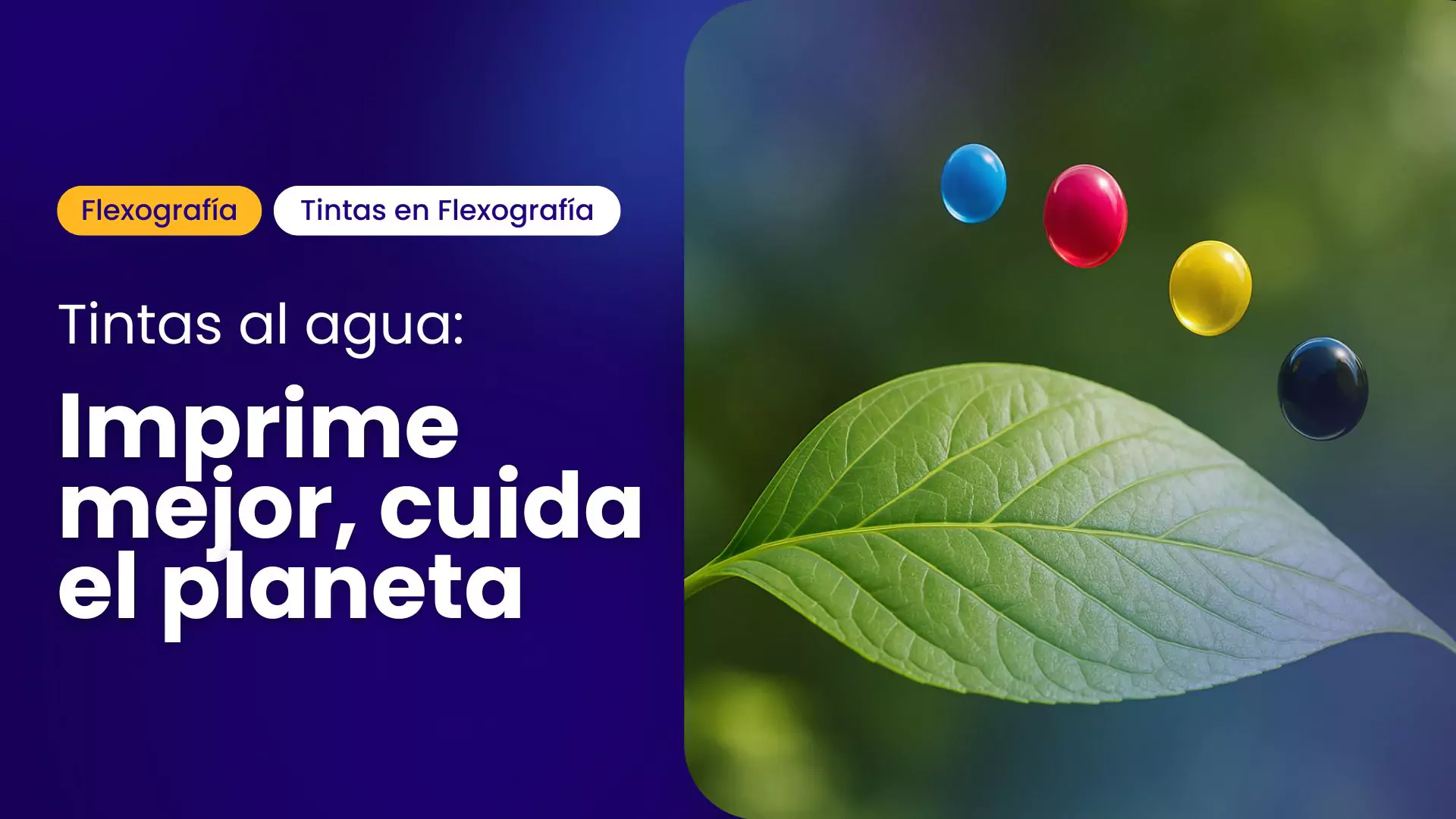hoja verde con gotas de tinta CMYK flotando, concepto de impresión ecológica